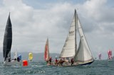 scintilla of the sea 920y scintilla of the sea 920y whyw23 sun 800 3290